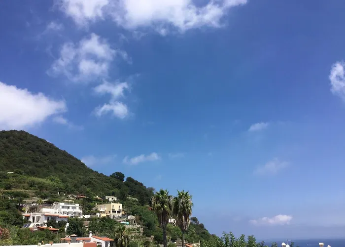 Bed & Breakfast Augusta