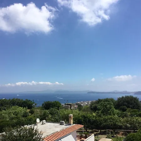 Augusta 3*